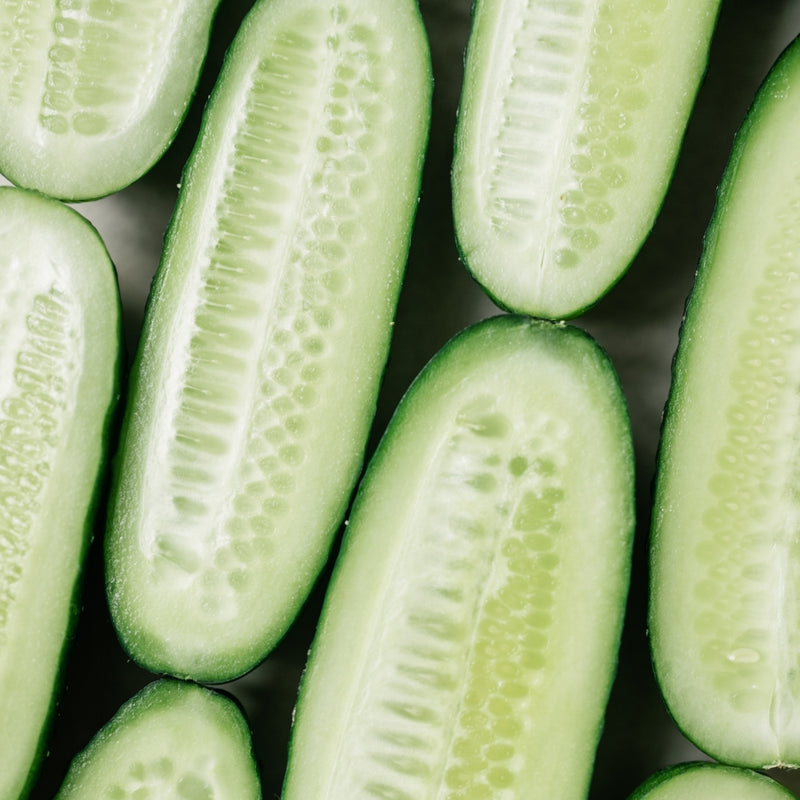 Cucumber