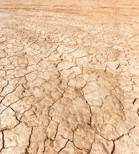 Why Does Your Skin Feel Dry Even After Moisturizing?