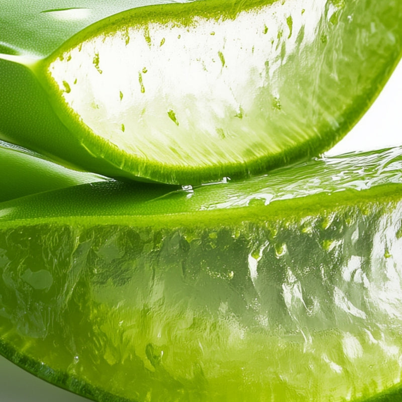 Aloe Extract