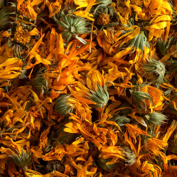 Calendula