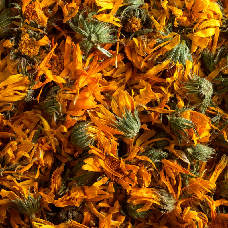 Calendula