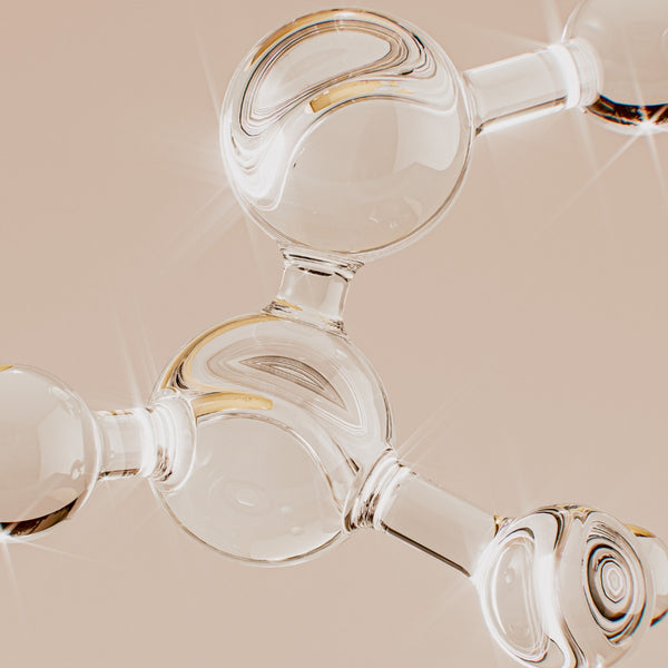 Ceramides