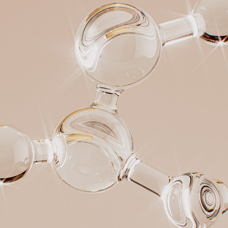 Ceramides
