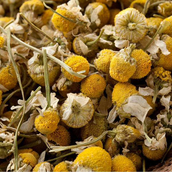 Chamomile