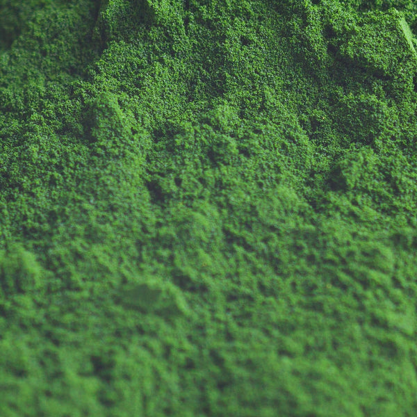 Chlorella Vulgaris Extract