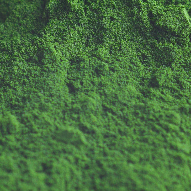Chlorella Vulgaris Extract