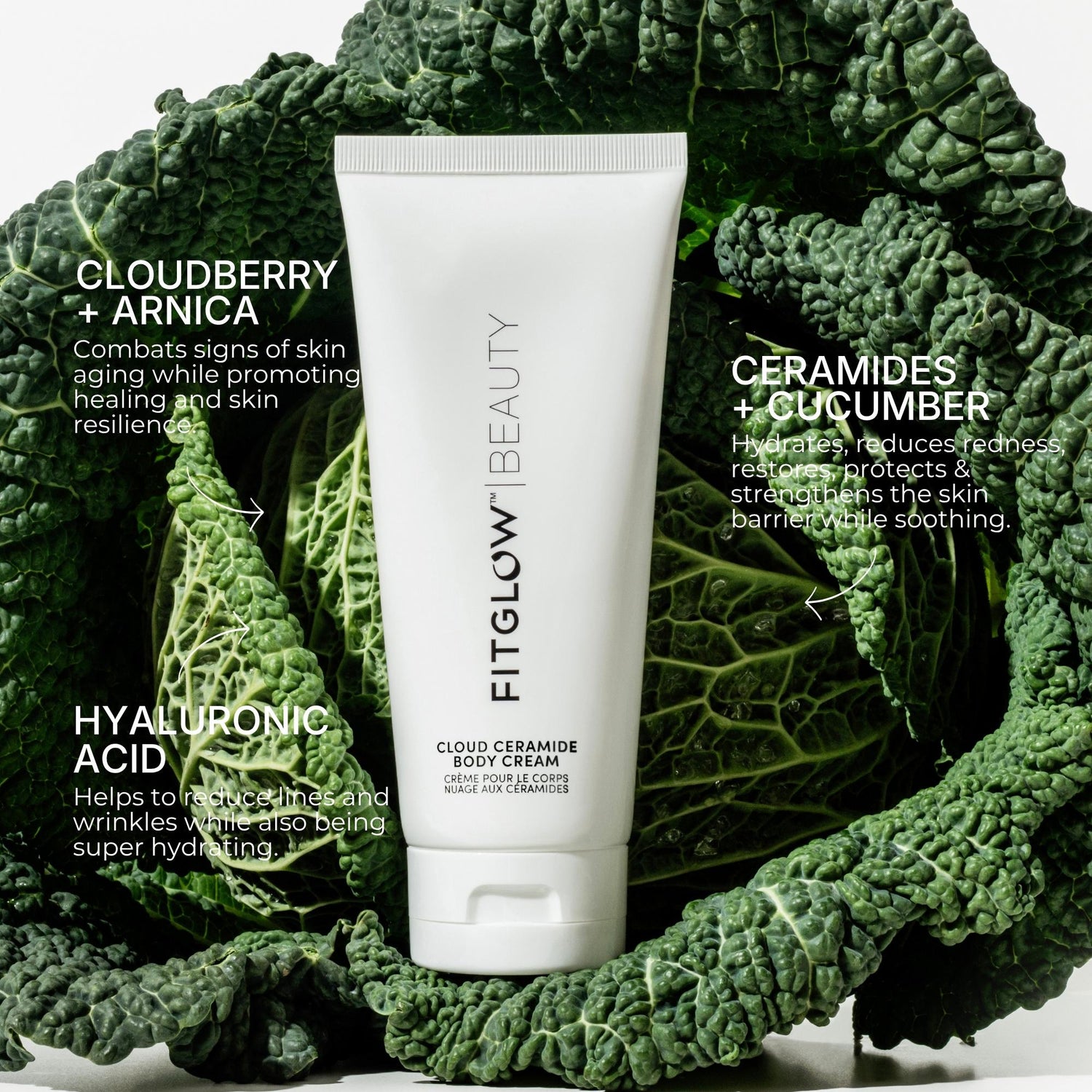 Cloud Ceramide Body Cream
