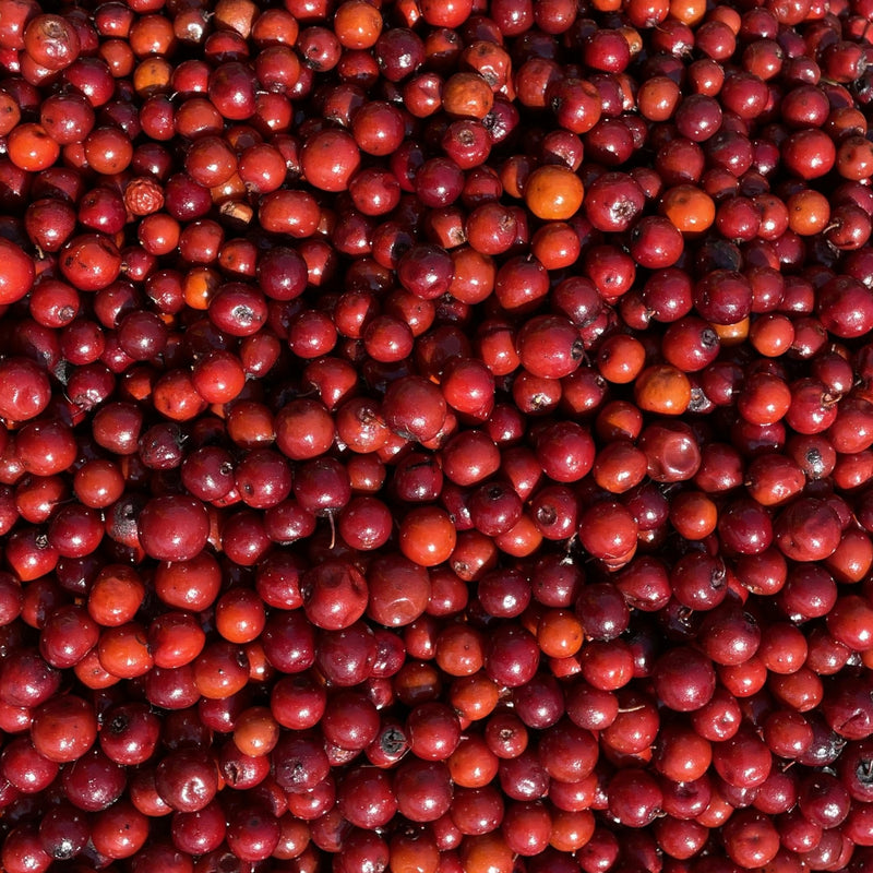 Cranberry