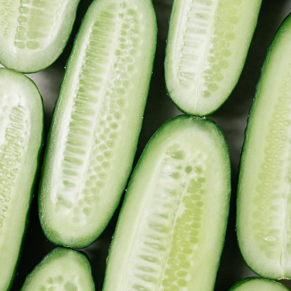 Cucumber