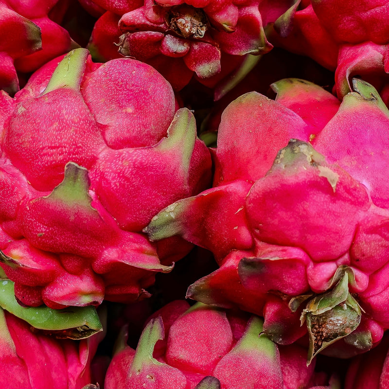 Dragon Fruit