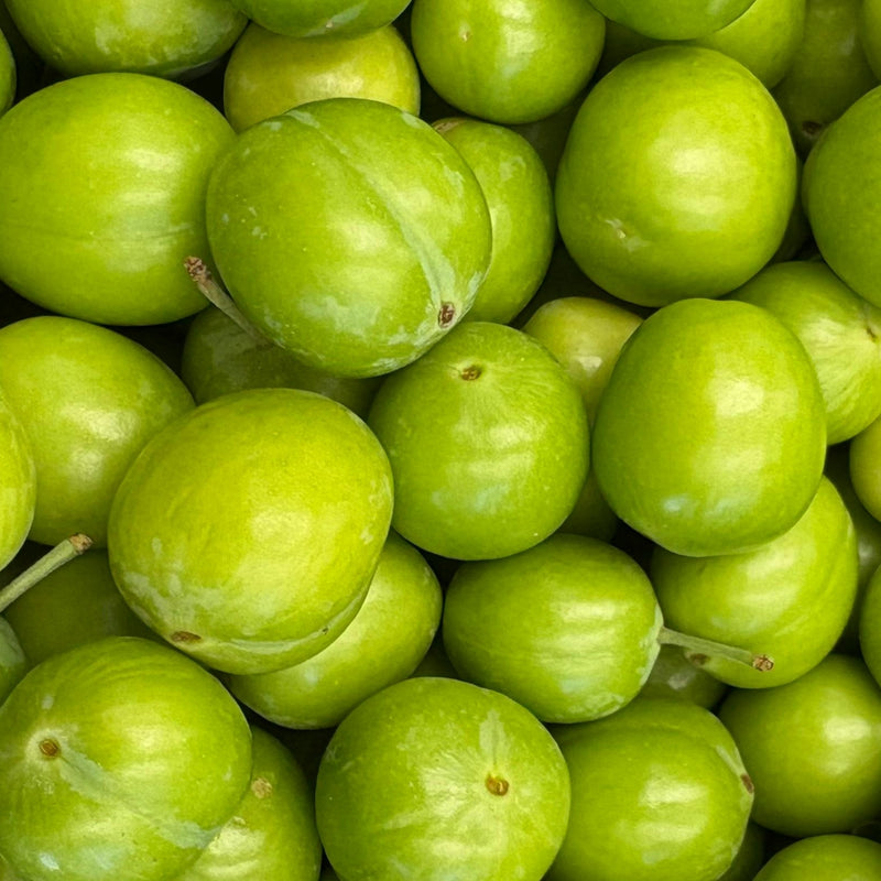 Kakadu Plum