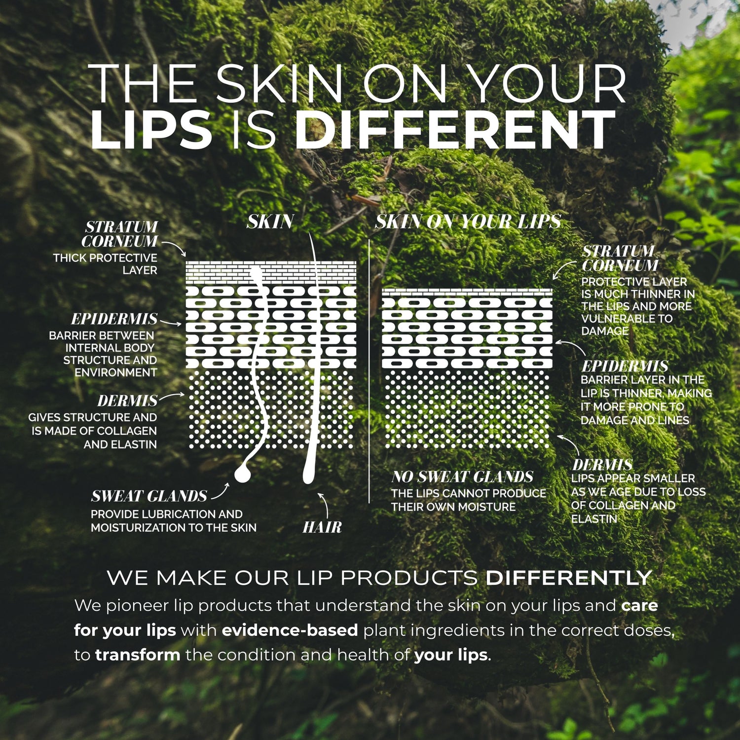 Lip Colour Serum