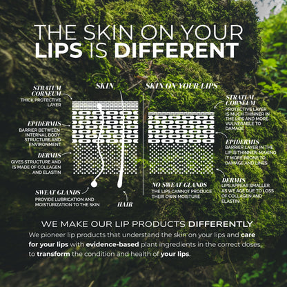 Lip Colour Serum