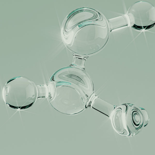Plant Collagen