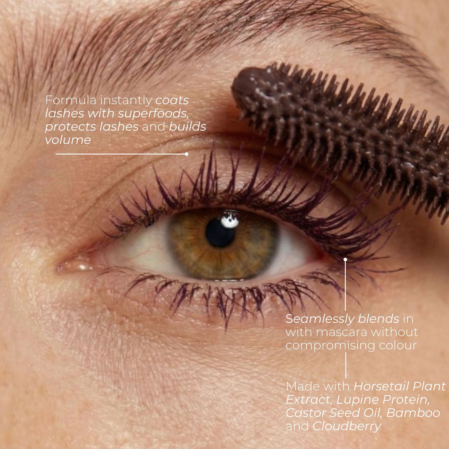 Plum Lash Primer