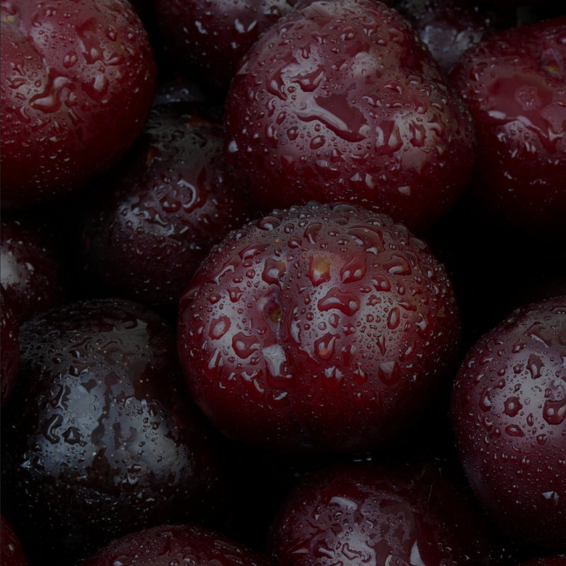 Plum Extract