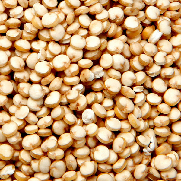 Quinoa Ferment