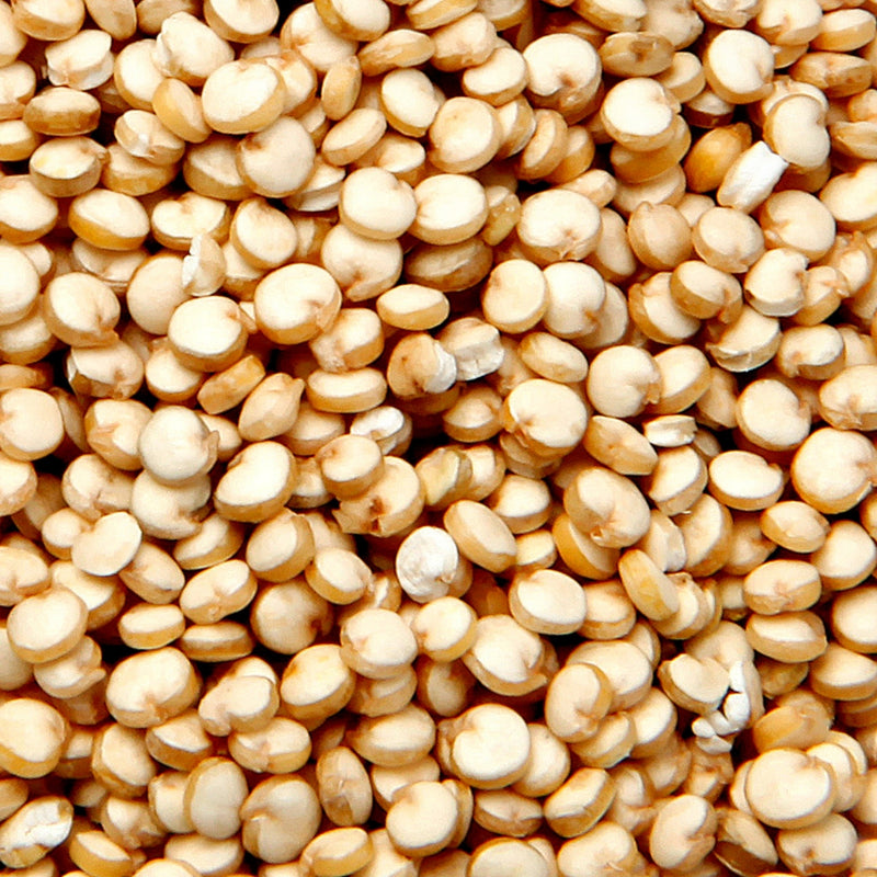 Quinoa Ferment