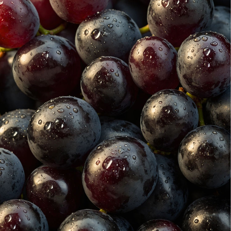 Resveratrol
