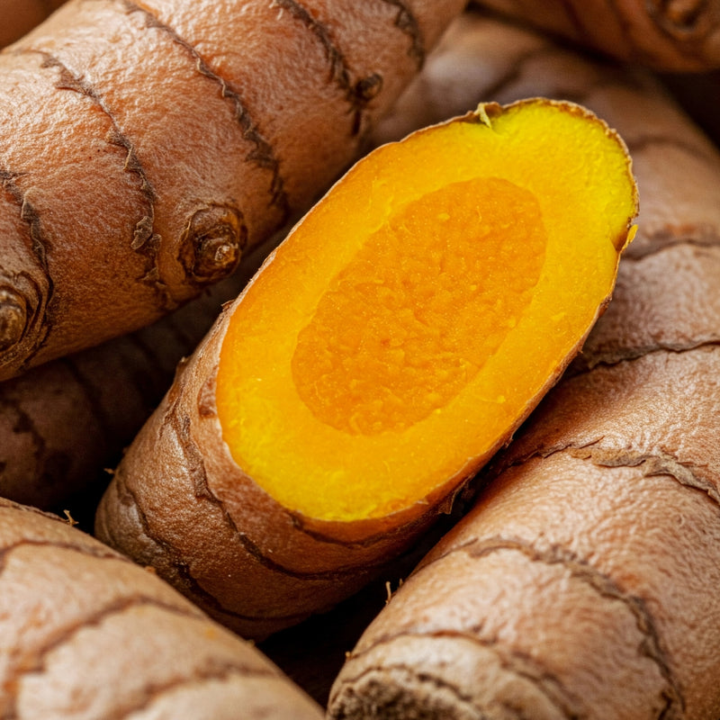 Turmeric Root
