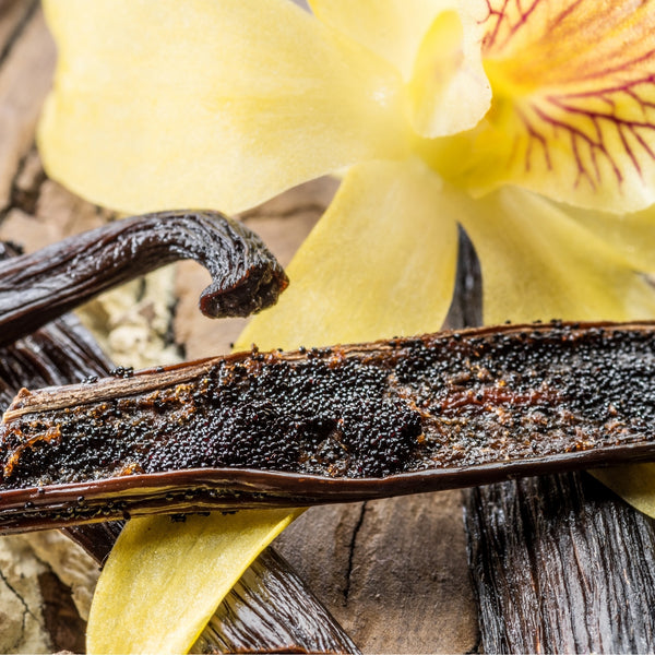 Vanilla Planifolia Fruit