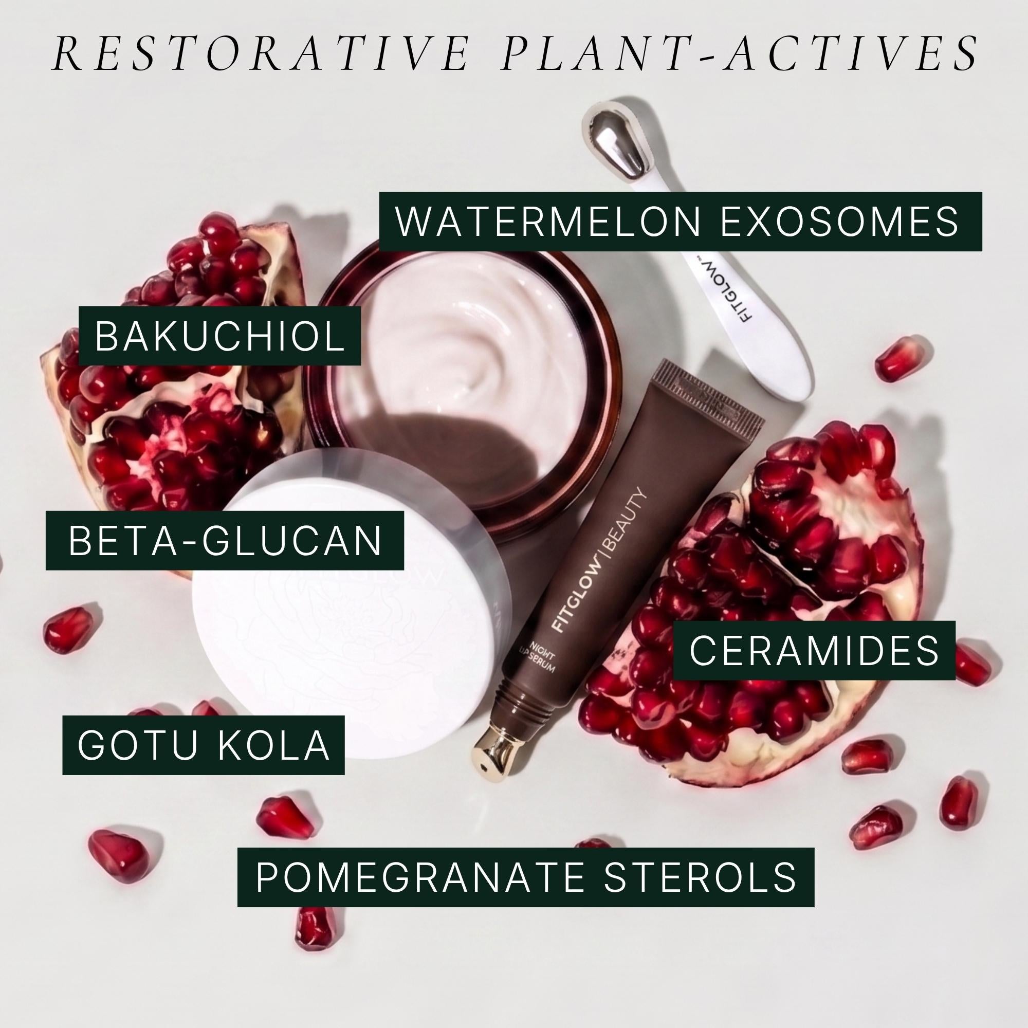 Restorative Ceramide Eye + Lip Duo
