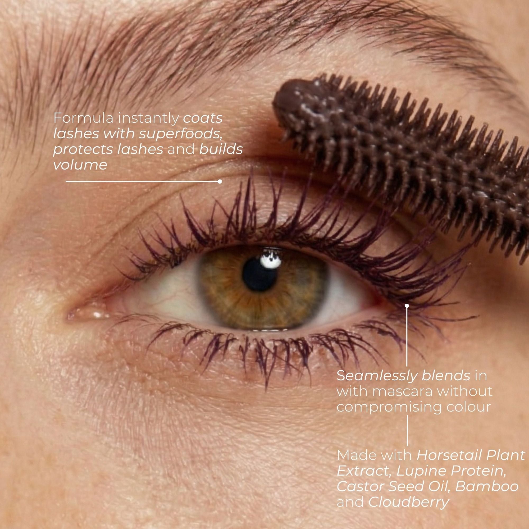 Plum Lash Primer - Imperfect Duo