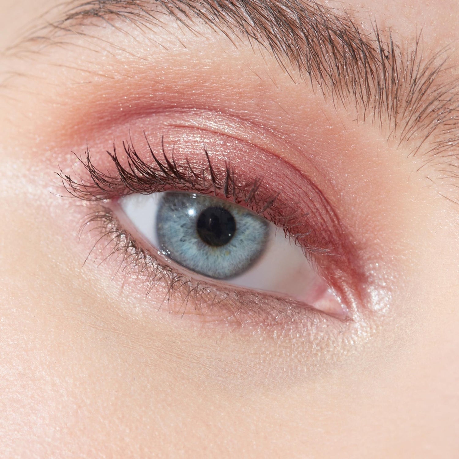 Multi-Use Pressed + Cream Colour